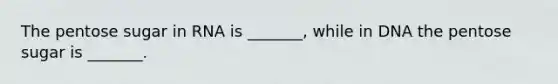 The pentose sugar in RNA is _______, while in DNA the pentose sugar is _______.