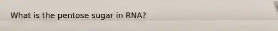 What is the pentose sugar in RNA?