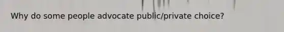 Why do some people advocate public/private choice?