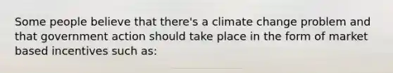 Some people believe that there's a climate change problem and that government action should take place in the form of market based incentives such as: