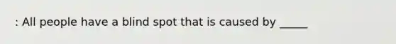 : All people have a blind spot that is caused by _____