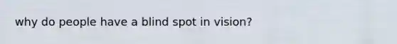 why do people have a blind spot in vision?
