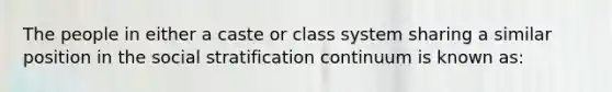 The people in either a caste or class system sharing a similar position in the social stratification continuum is known as: