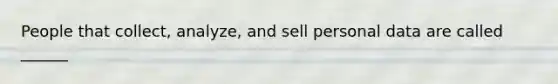 People that collect, analyze, and sell personal data are called ______