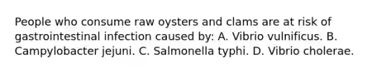 People who consume raw oysters and clams are at risk of gastrointestinal infection caused by: A. Vibrio vulnificus. B. Campylobacter jejuni. C. Salmonella typhi. D. Vibrio cholerae.