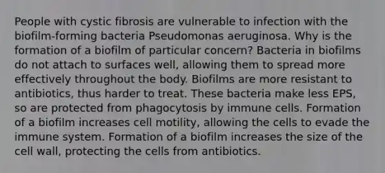 People with cystic fibrosis are vulnerable to infection with the biofilm-forming bacteria Pseudomonas aeruginosa. Why is the formation of a biofilm of particular concern? Bacteria in biofilms do not attach to surfaces well, allowing them to spread more effectively throughout the body. Biofilms are more resistant to antibiotics, thus harder to treat. These bacteria make less EPS, so are protected from phagocytosis by immune cells. Formation of a biofilm increases cell motility, allowing the cells to evade the immune system. Formation of a biofilm increases the size of the cell wall, protecting the cells from antibiotics.