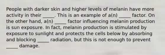 People with darker skin and higher levels of melanin have more activity in their _____. This is an example of a(n) _____ factor. On the other hand, a(n) _____ factor influencing melanin production is sun exposure. In fact, melanin production is stimulated by exposure to sunlight and protects the cells below by absorbing and blocking _____ radiation, but this is not enough to prevent _____ damage.