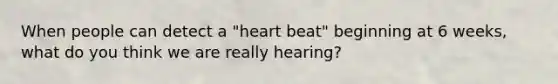 When people can detect a "heart beat" beginning at 6 weeks, what do you think we are really hearing?