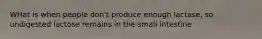 WHat is when people don't produce enough lactase, so undigested lactose remains in the small intestine