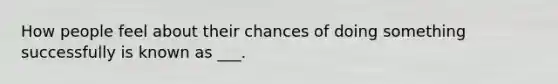 How people feel about their chances of doing something successfully is known as ___.