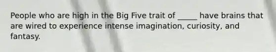 People who are high in <a href='https://www.questionai.com/knowledge/kpV76opbAp-the-big-five' class='anchor-knowledge'>the big five</a> trait of _____ have brains that are wired to experience intense imagination, curiosity, and fantasy.