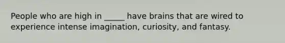 People who are high in _____ have brains that are wired to experience intense imagination, curiosity, and fantasy.