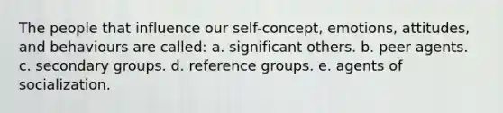 The people that influence our self-concept, emotions, attitudes, and behaviours are called: a. significant others. b. peer agents. c. secondary groups. d. reference groups. e. agents of socialization.