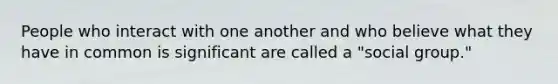 People who interact with one another and who believe what they have in common is significant are called a "social group."