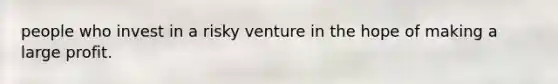 people who invest in a risky venture in the hope of making a large profit.