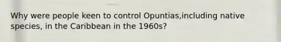 Why were people keen to control Opuntias,including <a href='https://www.questionai.com/knowledge/kjXj2TJuSK-native-species' class='anchor-knowledge'>native species</a>, in the Caribbean in the 1960s?