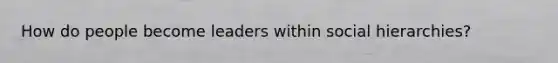How do people become leaders within social hierarchies?