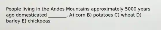 People living in the Andes Mountains approximately 5000 years ago domesticated ________. A) corn B) potatoes C) wheat D) barley E) chickpeas