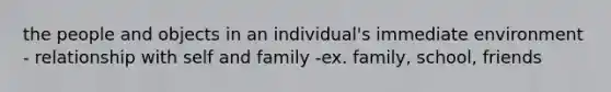 the people and objects in an individual's immediate environment - relationship with self and family -ex. family, school, friends