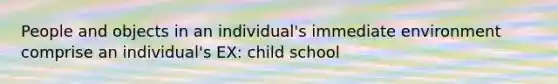 People and objects in an individual's immediate environment comprise an individual's EX: child school