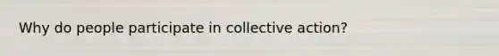 Why do people participate in collective action?