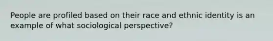 People are profiled based on their race and ethnic identity is an example of what sociological perspective?