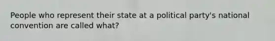 People who represent their state at a political party's national convention are called what?