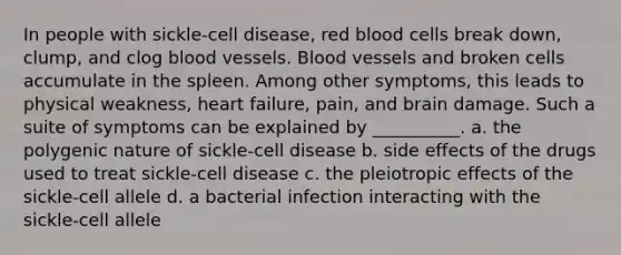 In people with sickle-cell disease, red blood cells break down, clump, and clog blood vessels. Blood vessels and broken cells accumulate in the spleen. Among other symptoms, this leads to physical weakness, heart failure, pain, and brain damage. Such a suite of symptoms can be explained by __________. a. the polygenic nature of sickle-cell disease b. side effects of the drugs used to treat sickle-cell disease c. the pleiotropic effects of the sickle-cell allele d. a bacterial infection interacting with the sickle-cell allele