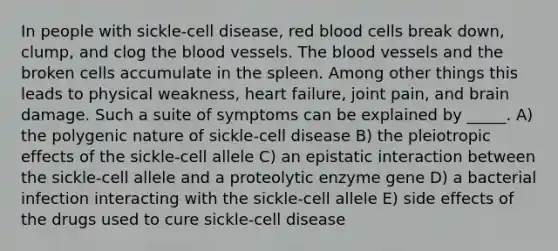 In people with sickle-cell disease, red blood cells break down, clump, and clog the blood vessels. The blood vessels and the broken cells accumulate in the spleen. Among other things this leads to physical weakness, heart failure, joint pain, and brain damage. Such a suite of symptoms can be explained by _____. A) the polygenic nature of sickle-cell disease B) the pleiotropic effects of the sickle-cell allele C) an epistatic interaction between the sickle-cell allele and a proteolytic enzyme gene D) a bacterial infection interacting with the sickle-cell allele E) side effects of the drugs used to cure sickle-cell disease