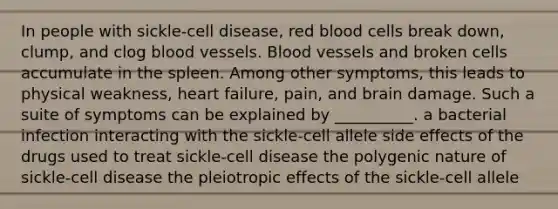 In people with sickle-cell disease, red blood cells break down, clump, and clog <a href='https://www.questionai.com/knowledge/kZJ3mNKN7P-blood-vessels' class='anchor-knowledge'>blood vessels</a>. Blood vessels and broken cells accumulate in the spleen. Among other symptoms, this leads to physical weakness, heart failure, pain, and brain damage. Such a suite of symptoms can be explained by __________. a bacterial infection interacting with the sickle-cell allele side effects of the drugs used to treat sickle-cell disease the polygenic nature of sickle-cell disease the pleiotropic effects of the sickle-cell allele