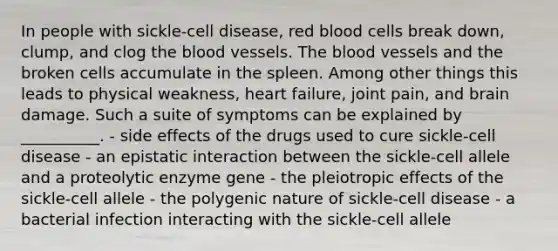 In people with sickle-cell disease, red blood cells break down, clump, and clog the blood vessels. The blood vessels and the broken cells accumulate in the spleen. Among other things this leads to physical weakness, heart failure, joint pain, and brain damage. Such a suite of symptoms can be explained by __________. - side effects of the drugs used to cure sickle-cell disease - an epistatic interaction between the sickle-cell allele and a proteolytic enzyme gene - the pleiotropic effects of the sickle-cell allele - the polygenic nature of sickle-cell disease - a bacterial infection interacting with the sickle-cell allele