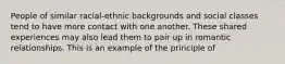 People of similar racial-ethnic backgrounds and social classes tend to have more contact with one another. These shared experiences may also lead them to pair up in romantic relationships. This is an example of the principle of