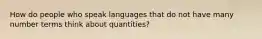 How do people who speak languages that do not have many number terms think about quantities?