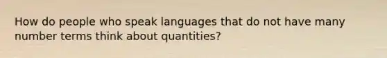 How do people who speak languages that do not have many number terms think about quantities?