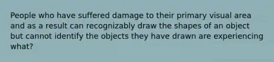 People who have suffered damage to their primary visual area and as a result can recognizably draw the shapes of an object but cannot identify the objects they have drawn are experiencing what?