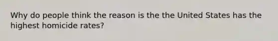 Why do people think the reason is the the United States has the highest homicide rates?