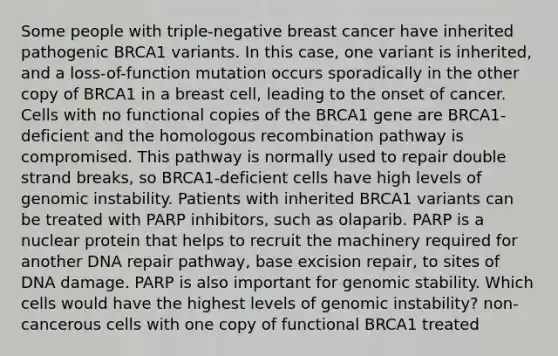 Some people with triple-negative breast cancer have inherited pathogenic BRCA1 variants. In this case, one variant is inherited, and a loss-of-function mutation occurs sporadically in the other copy of BRCA1 in a breast cell, leading to the onset of cancer. Cells with no functional copies of the BRCA1 gene are BRCA1-deficient and the homologous recombination pathway is compromised. This pathway is normally used to repair double strand breaks, so BRCA1-deficient cells have high levels of genomic instability. Patients with inherited BRCA1 variants can be treated with PARP inhibitors, such as olaparib. PARP is a nuclear protein that helps to recruit the machinery required for another DNA repair pathway, base excision repair, to sites of DNA damage. PARP is also important for genomic stability. Which cells would have the highest levels of genomic instability? non-cancerous cells with one copy of functional BRCA1 treated