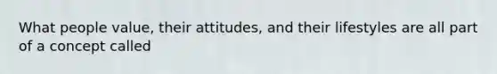 What people value, their attitudes, and their lifestyles are all part of a concept called