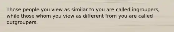 Those people you view as similar to you are called ingroupers, while those whom you view as different from you are called outgroupers.