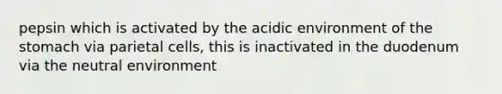 pepsin which is activated by the acidic environment of <a href='https://www.questionai.com/knowledge/kLccSGjkt8-the-stomach' class='anchor-knowledge'>the stomach</a> via parietal cells, this is inactivated in the duodenum via the neutral environment