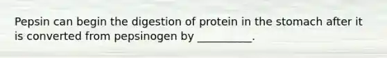 Pepsin can begin the digestion of protein in the stomach after it is converted from pepsinogen by __________.