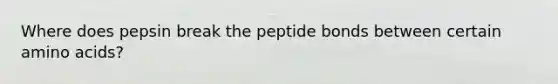 Where does pepsin break the peptide bonds between certain amino acids?