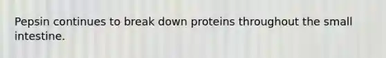 Pepsin continues to break down proteins throughout the small intestine.