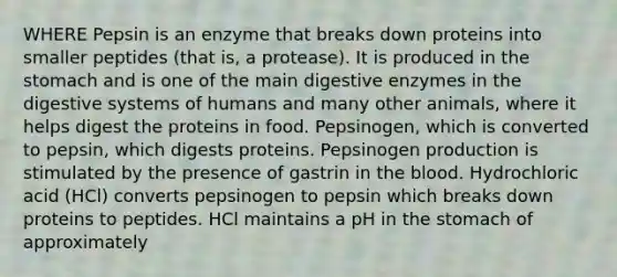 WHERE Pepsin is an enzyme that breaks down proteins into smaller peptides (that is, a protease). It is produced in the stomach and is one of the main digestive enzymes in the digestive systems of humans and many other animals, where it helps digest the proteins in food. Pepsinogen, which is converted to pepsin, which digests proteins. Pepsinogen production is stimulated by the presence of gastrin in the blood. Hydrochloric acid (HCl) converts pepsinogen to pepsin which breaks down proteins to peptides. HCl maintains a pH in the stomach of approximately