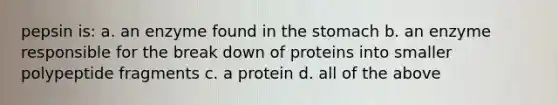 pepsin is: a. an enzyme found in the stomach b. an enzyme responsible for the break down of proteins into smaller polypeptide fragments c. a protein d. all of the above