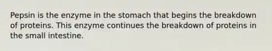 Pepsin is the enzyme in the stomach that begins the breakdown of proteins. This enzyme continues the breakdown of proteins in the small intestine.