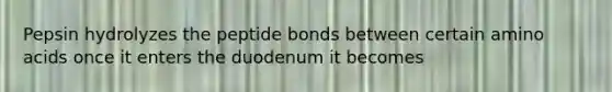 Pepsin hydrolyzes the peptide bonds between certain amino acids once it enters the duodenum it becomes