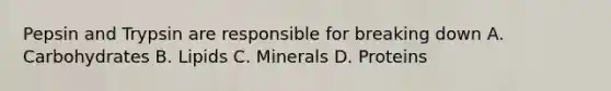 Pepsin and Trypsin are responsible for breaking down A. Carbohydrates B. Lipids C. Minerals D. Proteins