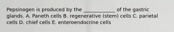 Pepsinogen is produced by the _____________ of the gastric glands. A. Paneth cells B. regenerative (stem) cells C. parietal cells D. chief cells E. enteroendocrine cells