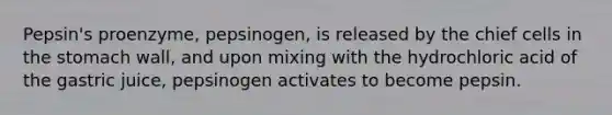 Pepsin's proenzyme, pepsinogen, is released by the chief cells in <a href='https://www.questionai.com/knowledge/kLccSGjkt8-the-stomach' class='anchor-knowledge'>the stomach</a> wall, and upon mixing with the hydrochloric acid of the gastric juice, pepsinogen activates to become pepsin.